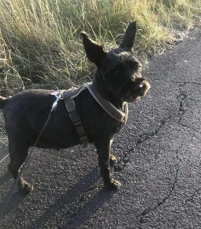 Condolence image of Lydia 