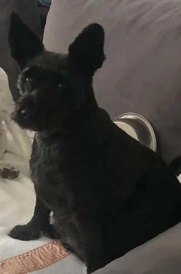 Condolence image of Lydia Owens