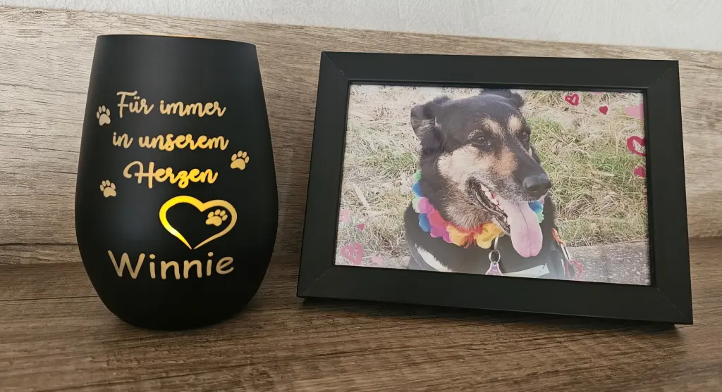 Condolence image of Nicole  Schmeyer