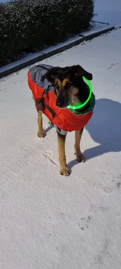 Condolence image of Nicole Schmeyer 