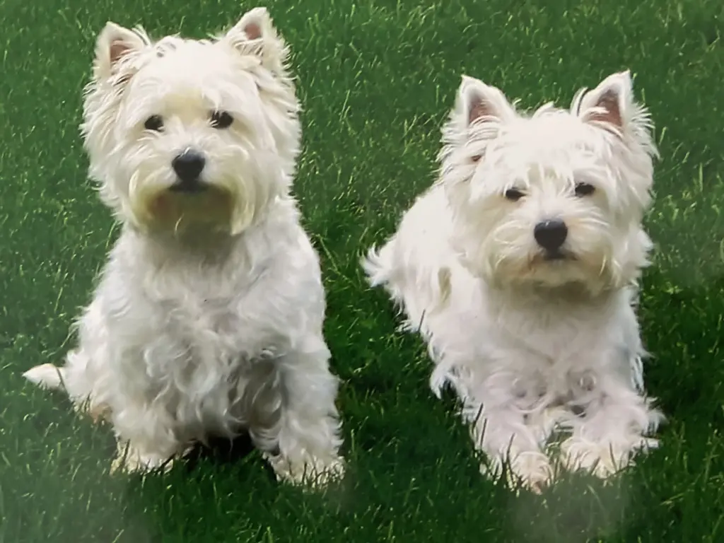 Condolence image of Unbekannt