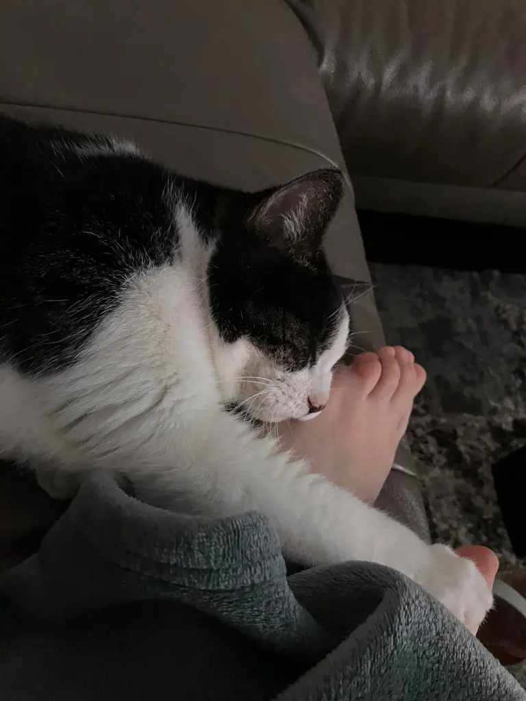 Condolence image of Oma