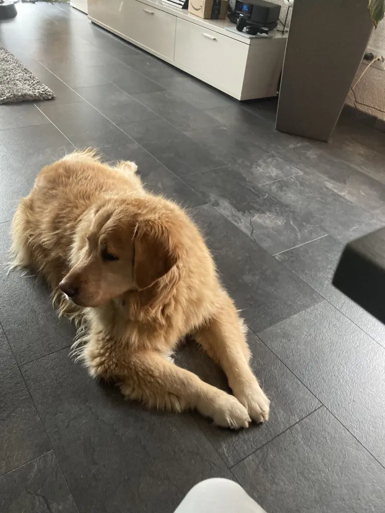 Condolence image of Angelika mit Luna von❤️ + 02.03.2023