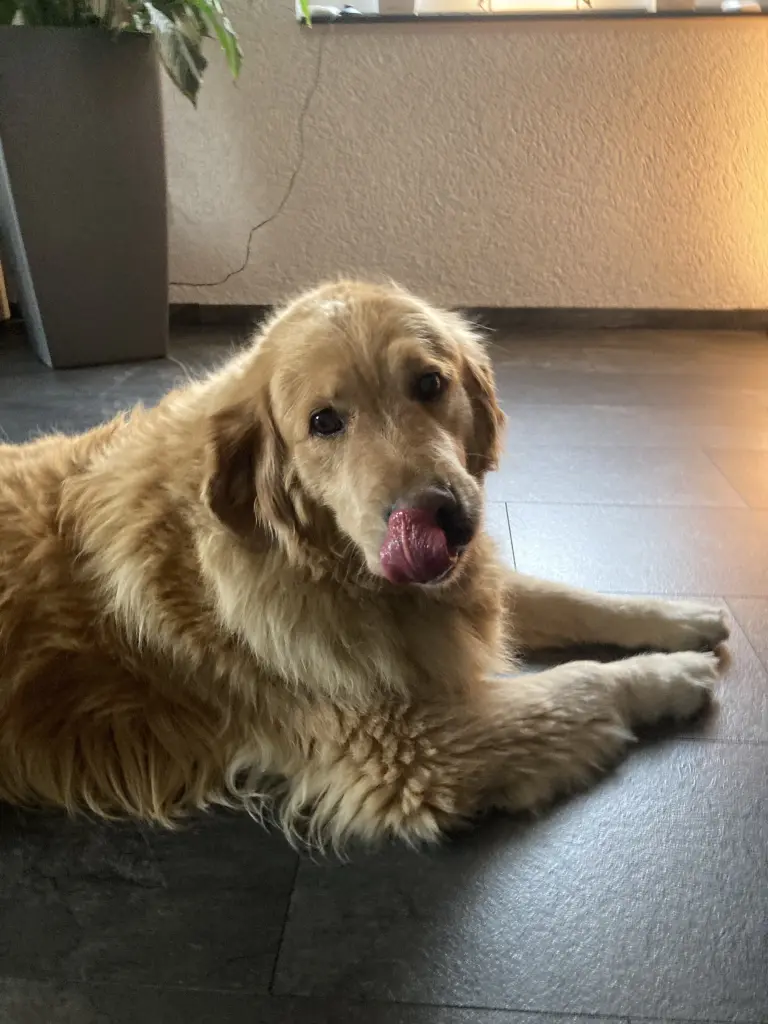 Condolence image of Angelika mit Luna von ❤️ + 02.03.2023