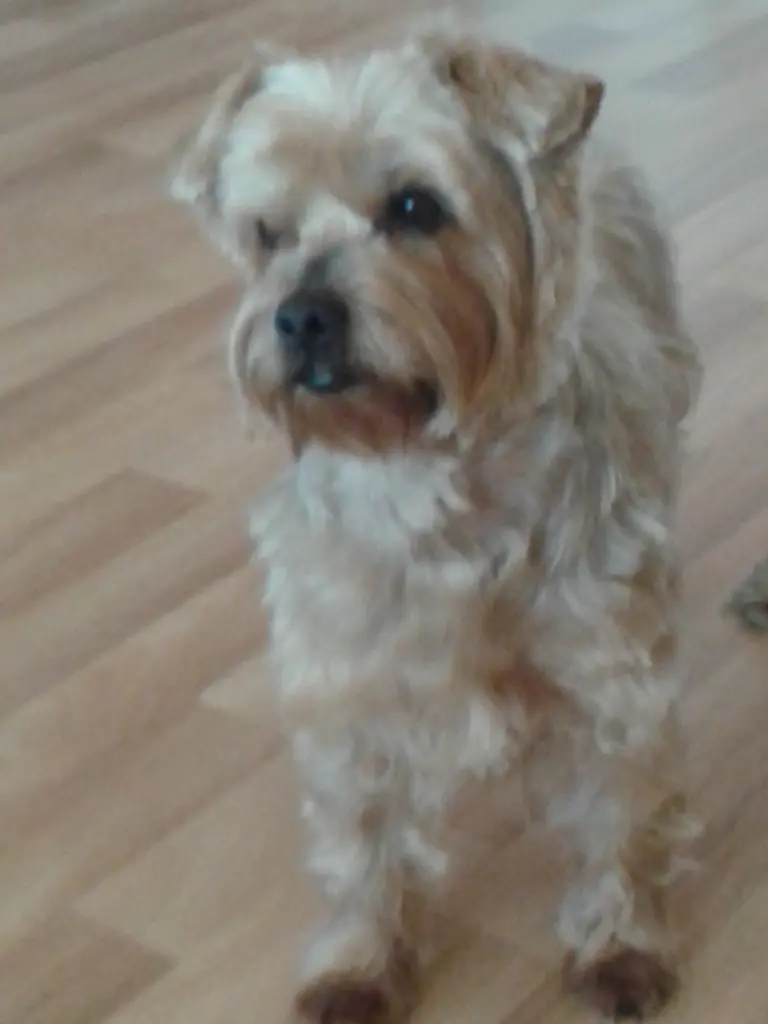 Andachtsbild von Ewa & Krzysztof mit Jacki tief im Herzen ❤