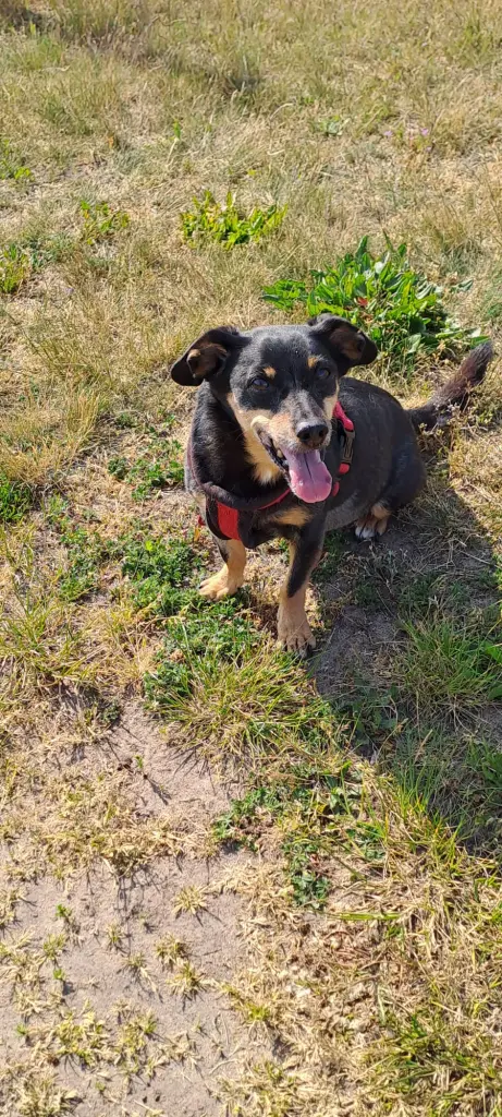 Andachtsbild von Kerstin und Thomas