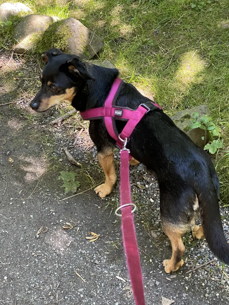 Andachtsbild von Anja Berger