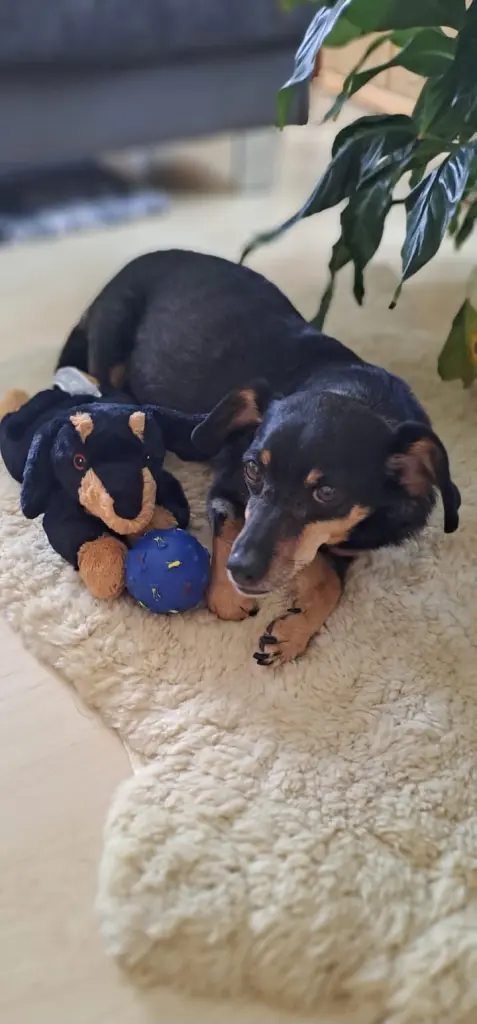 Andachtsbild von Kerstin und Thomas