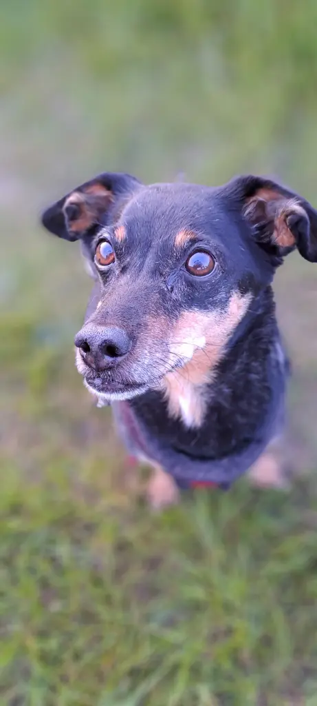 Andachtsbild von Kerstin und Thomas