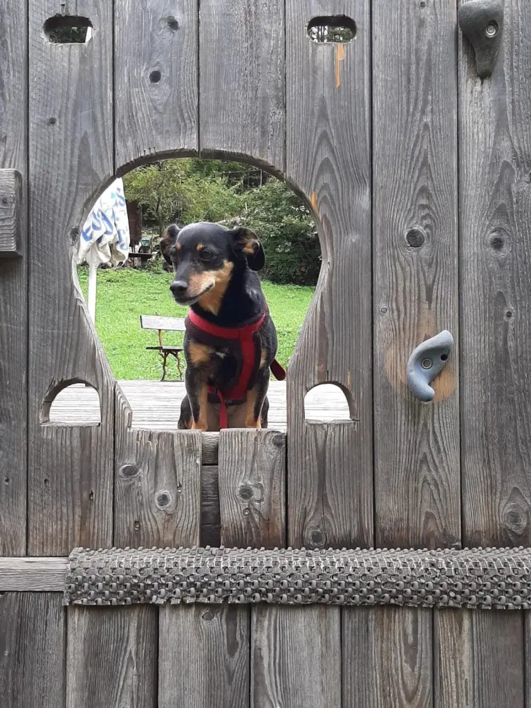 Andachtsbild von Kerstin und Thomas