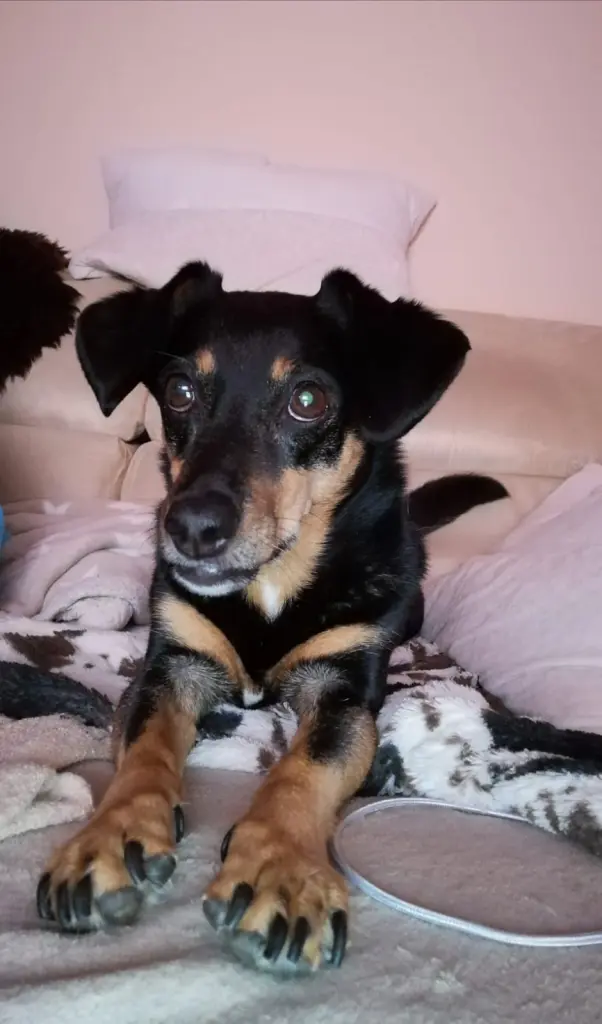 Andachtsbild von Kerstin und Thomas