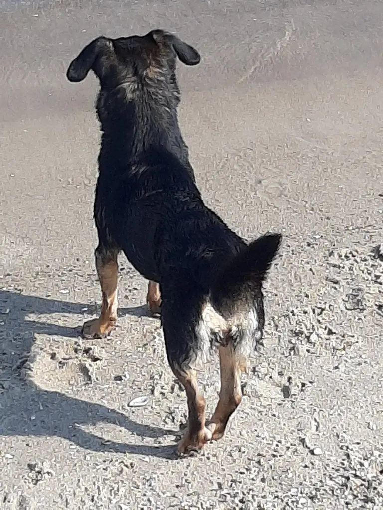 Andachtsbild von Kerstin und Thomas