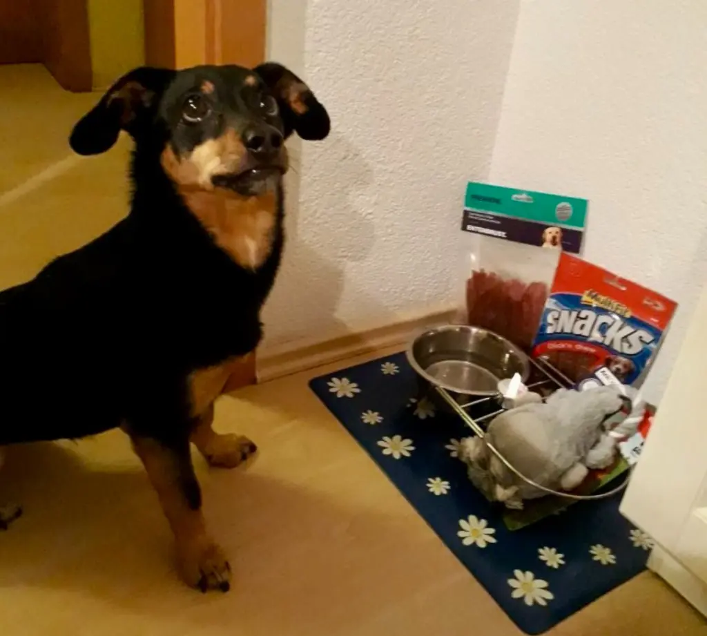 Andachtsbild von Susann