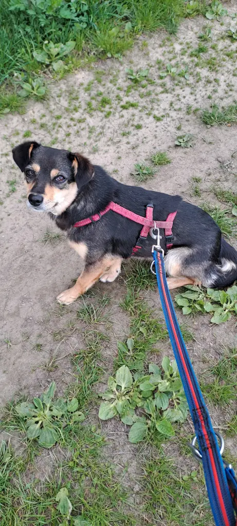 Andachtsbild von Kerstin und Thomas