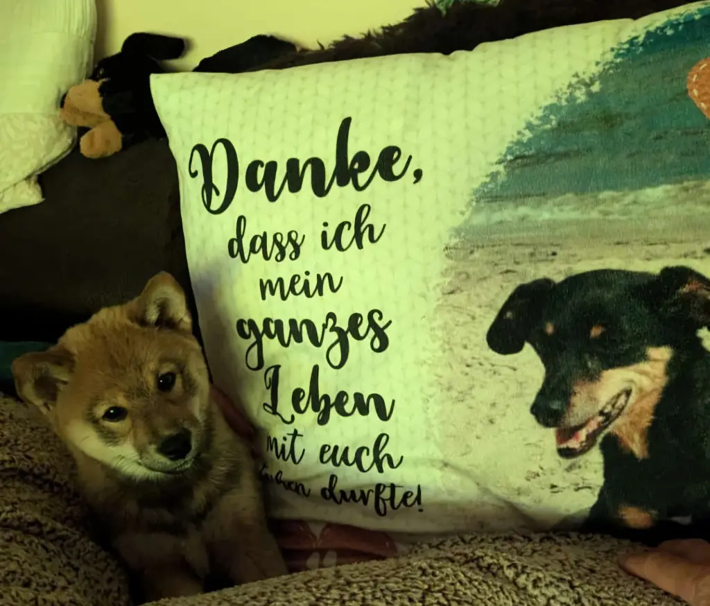 Andachtsbild von Kerstin und Thomas