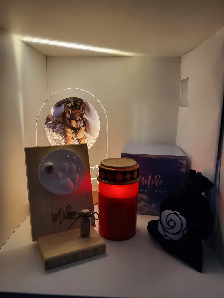 Image from Miko
