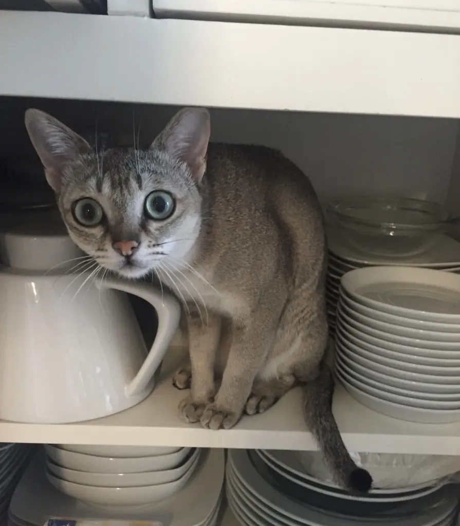 Condolence image of Nhinis Mama