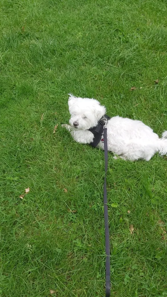 Image from Mailo ♥️