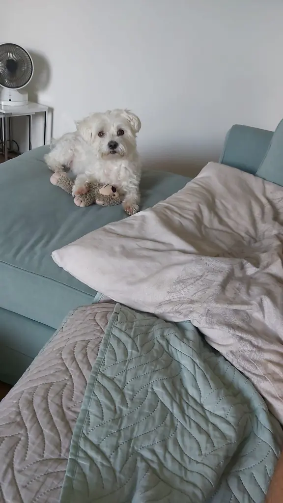 Image from Mailo ♥️