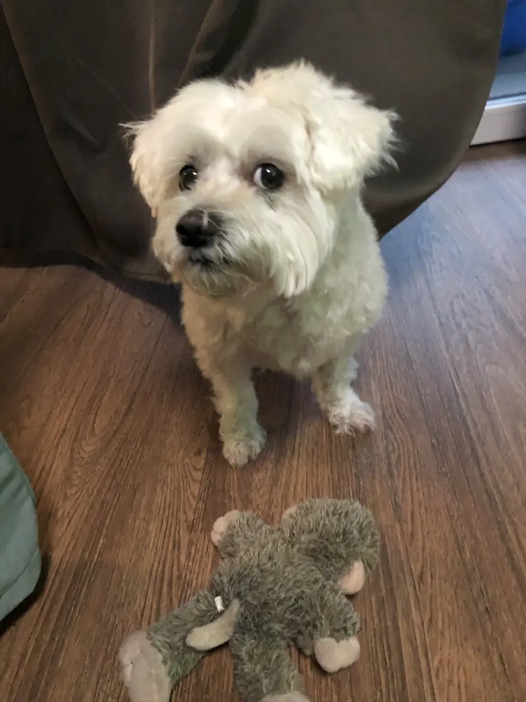 Image from Mailo ♥️