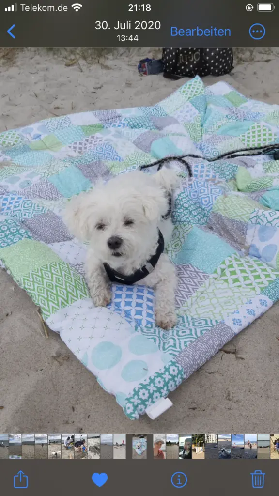 Image from Mailo ♥️