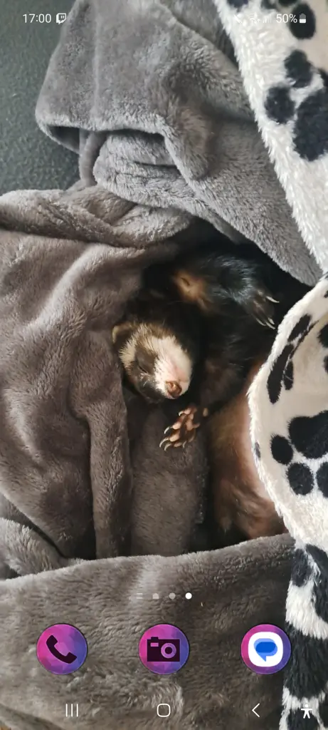 Condolence image of moritz