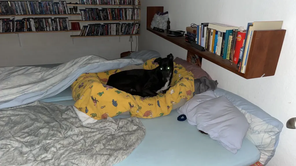 Image from Nelio