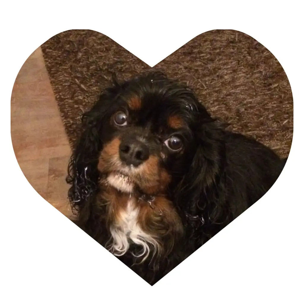 Condolence image of Daniela