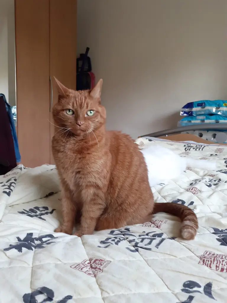 Condolence image of Birgit mit Max im Herzen ❤