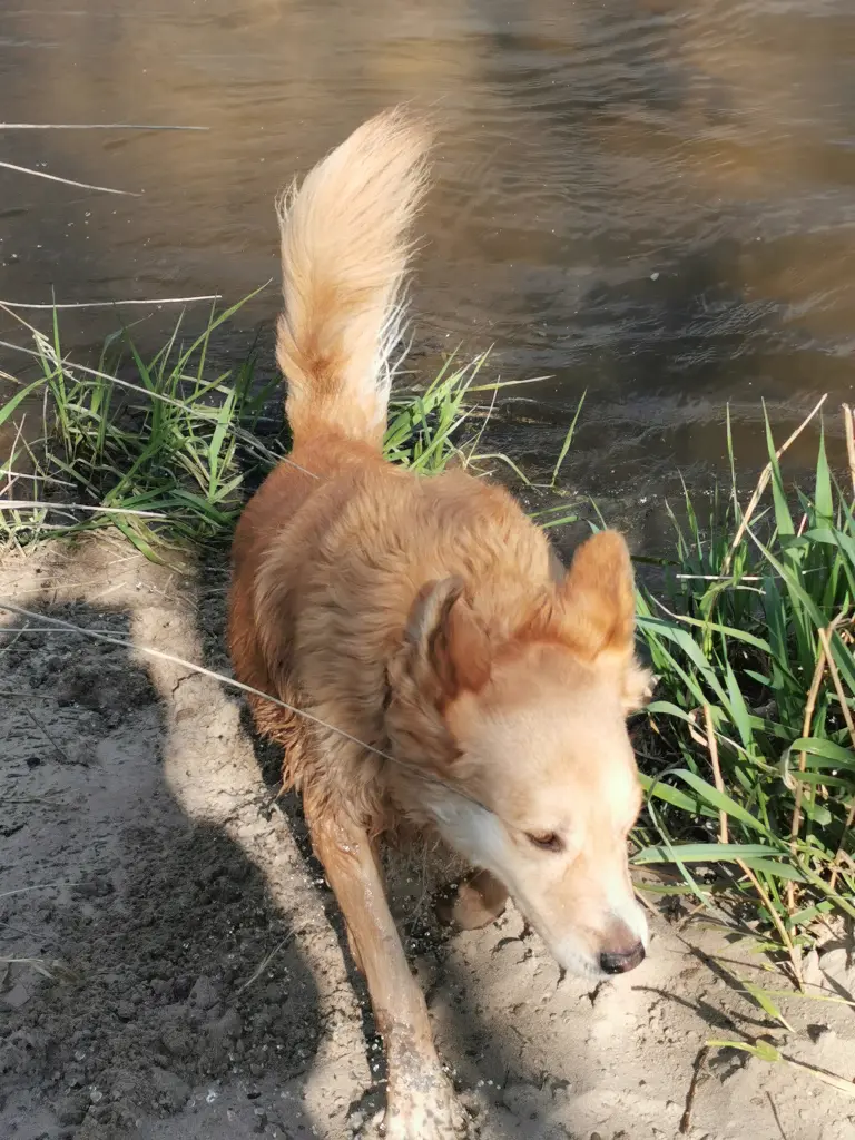 Condolence image of Unbekannt