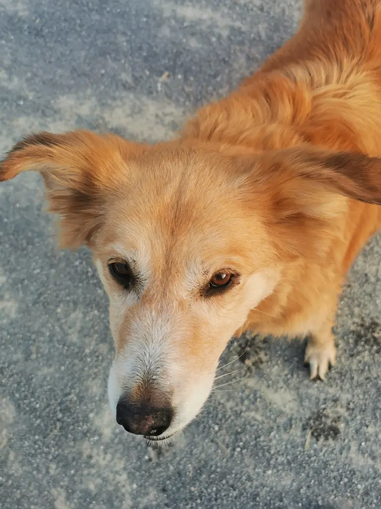 Condolence image of Marita 