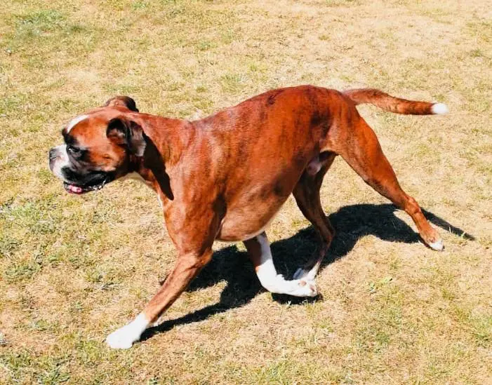 Condolence image of Karina und Jörg mit Floyd im ❤