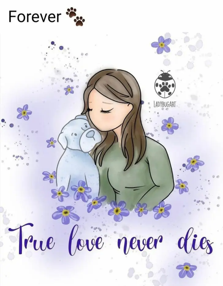 Condolence image of Für die liebe Fellnase Baru ♥️⭐♥️