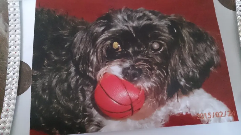 Andachtsbild von Sigrid