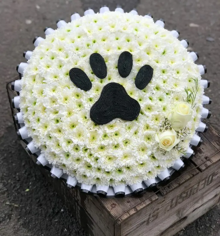 Condolence image of Für den lieben Angus ♥️⭐♥️