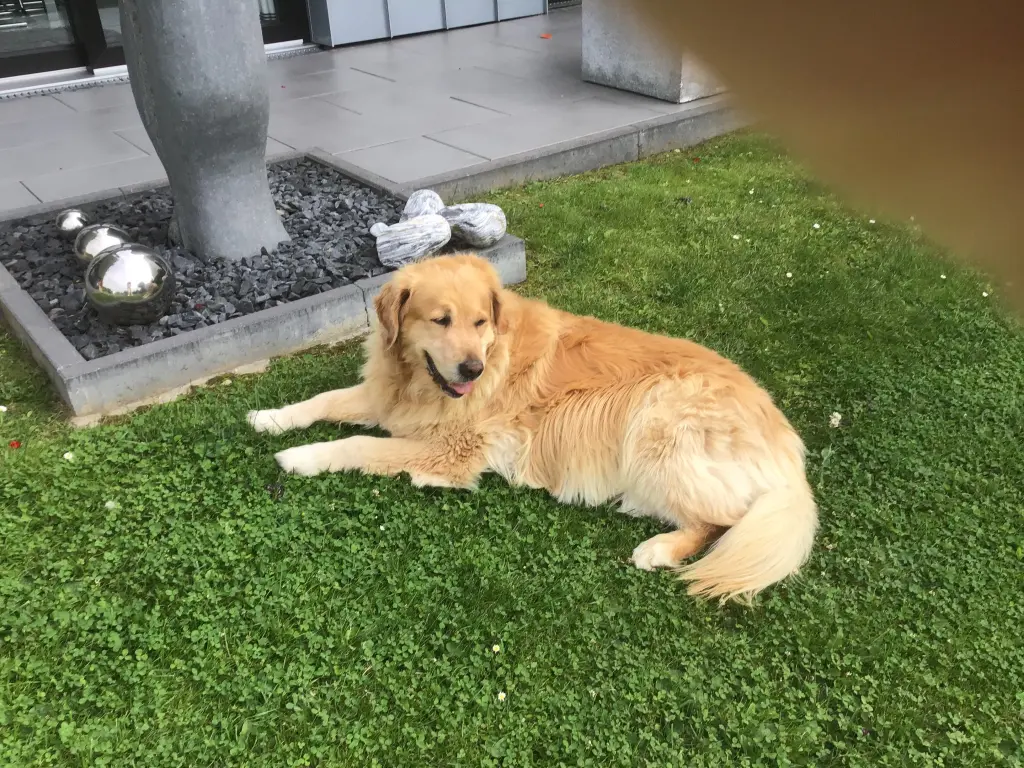 Andachtsbild von Angelika mit Luna von ❤️ + 02.03.2023