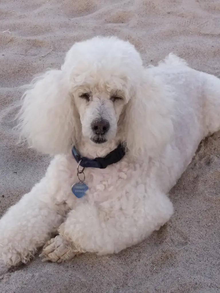 Andachtsbild von Carmen Imort