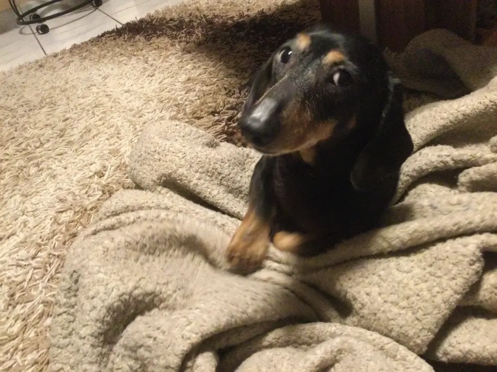 Andachtsbild von Elvira mit Arnold tief im Herzen (23.07.2023)