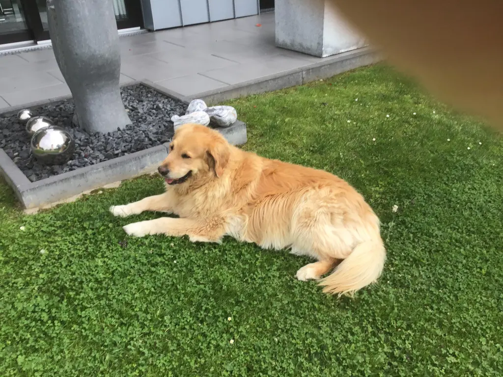 Condolence image of Angelika mit Luna von ❤️ + 02.03.2023