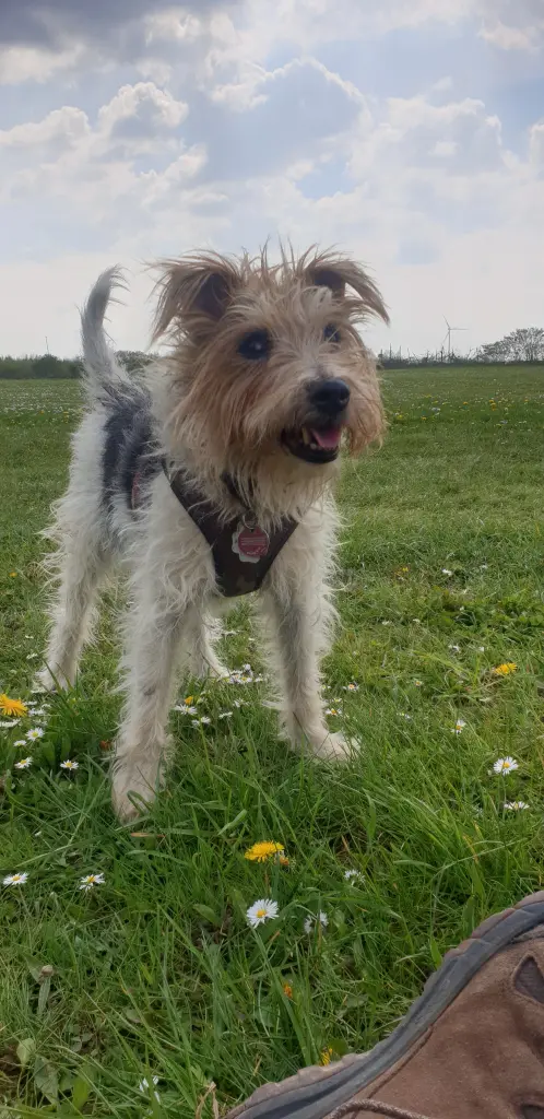 Condolence image of Unbekannt