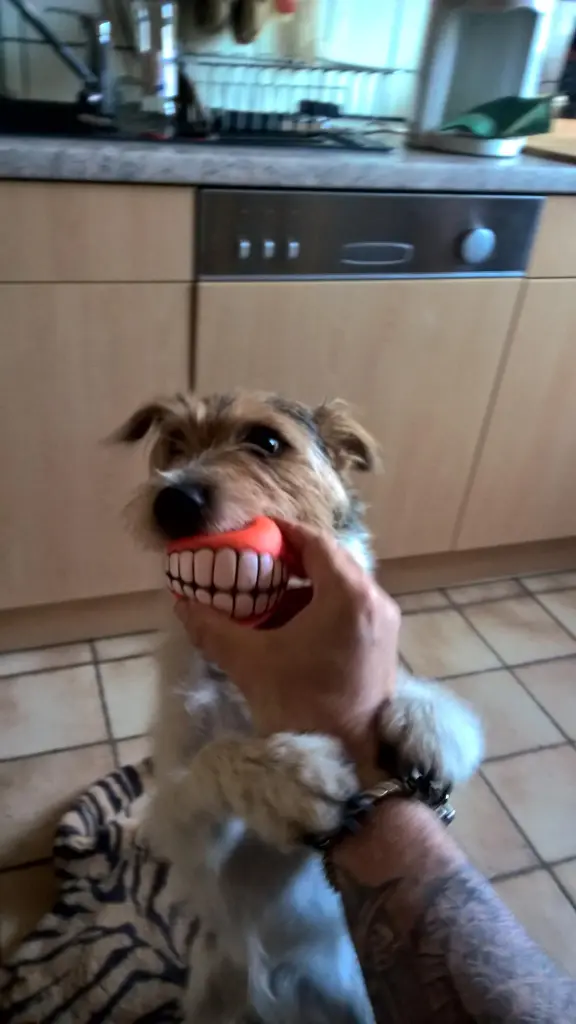 Condolence image of Unbekannt