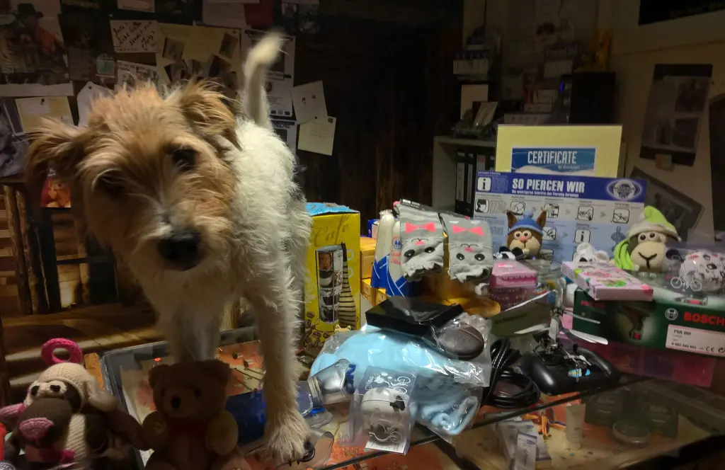 Condolence image of Unbekannt