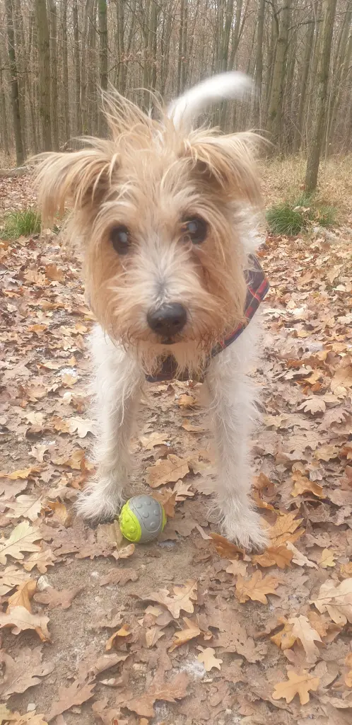 Condolence image of Unbekannt