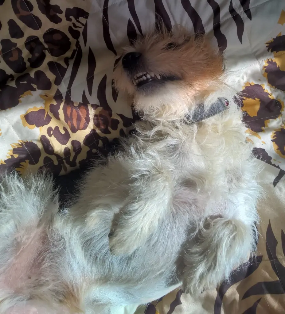 Condolence image of Unbekannt