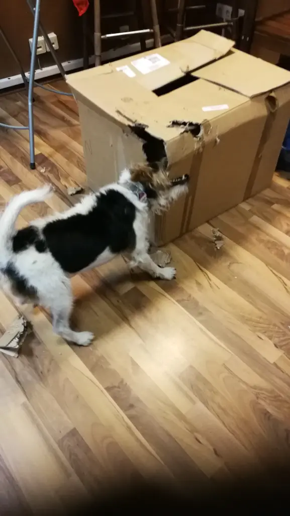 Condolence image of Unbekannt