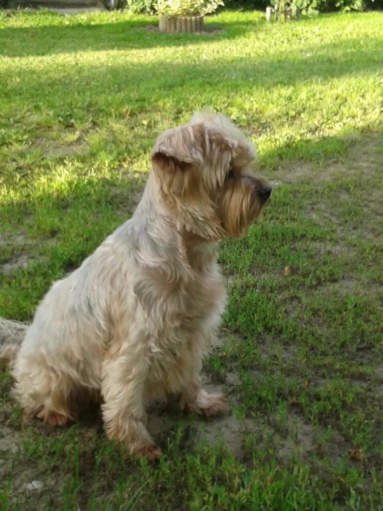 Condolence image of Ewa & Krzysztof mit Jacki tief im Herzen ❤