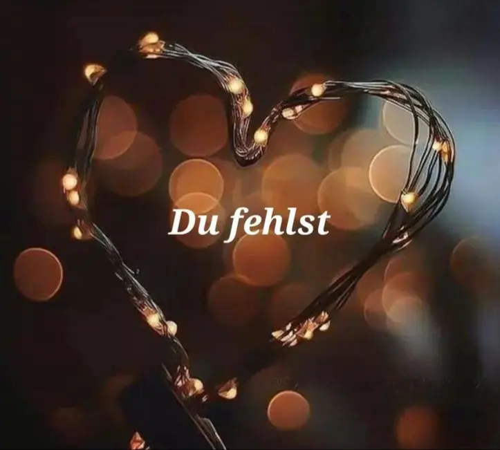 Condolence image of Martina mit Seelenhund Samy ♥️⭐♥️ für immer im Herzen 