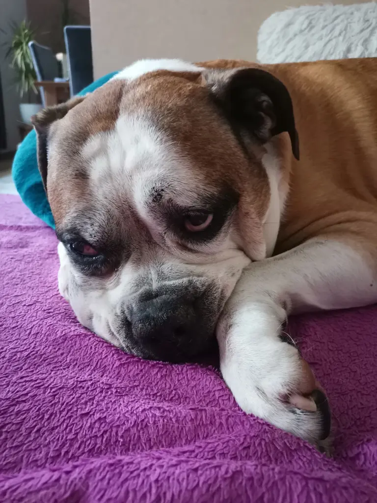 Condolence image of Elke und Wolfgang  Schieron