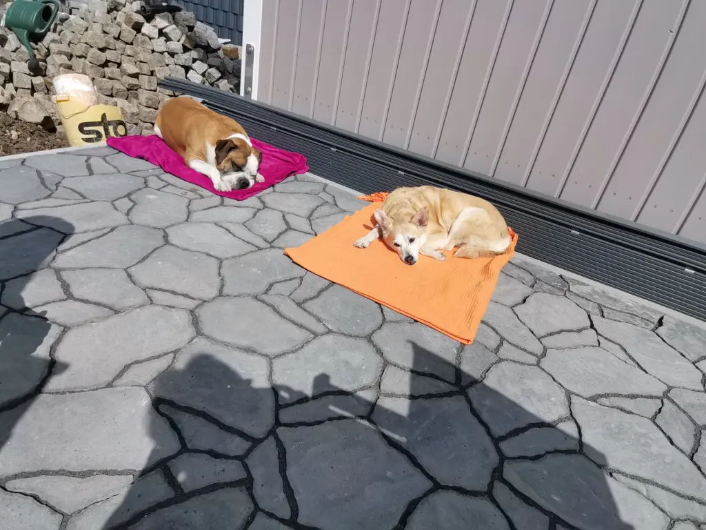 Condolence image of Vicky