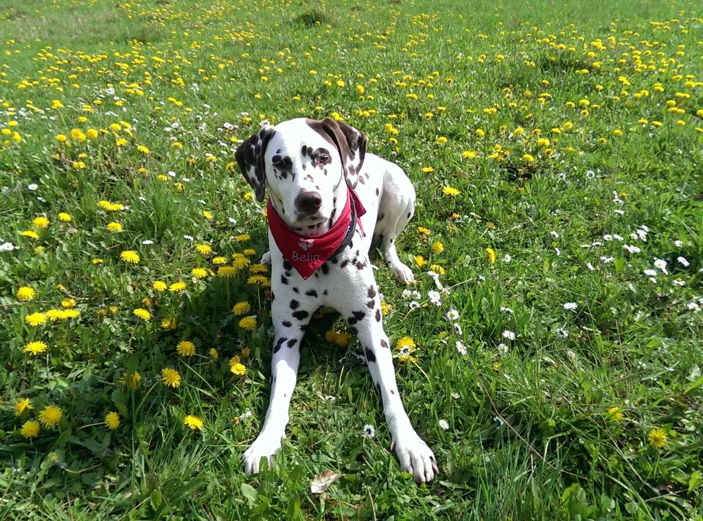 Condolence image of Unbekannt